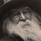 Whitman in 1887. (Photo: George C. Cox / Wikimedia Commons)